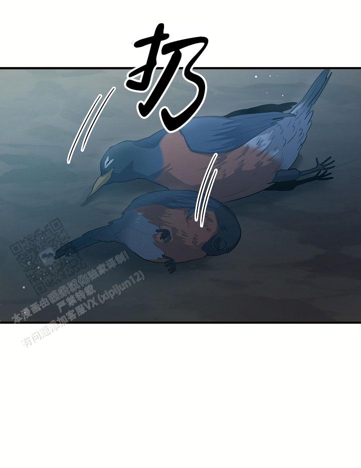 第8话13