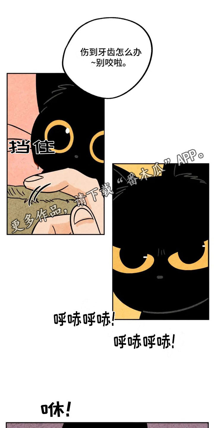 第91话0