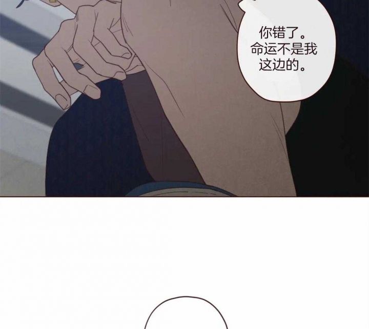 第115话28