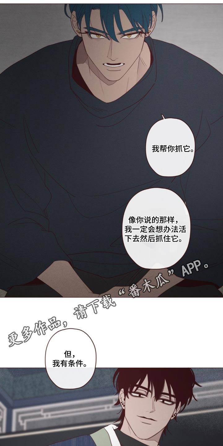 第181话17