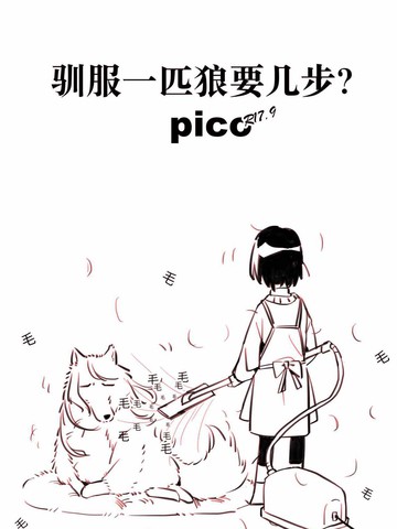 驯服一匹狼要几步？pico！