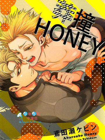 莽撞HONEY第二卷