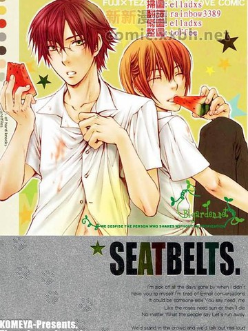 SEATBELTS_banner