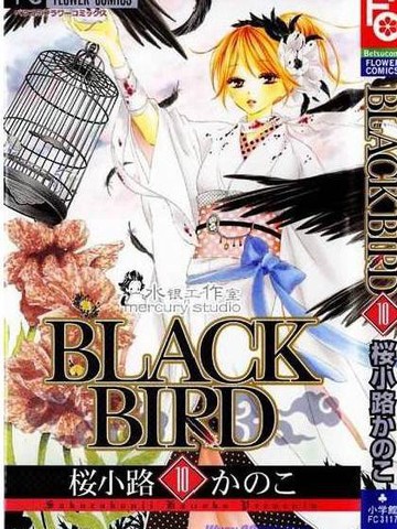 黑鸟恋人(BLACK BIRD)_banner