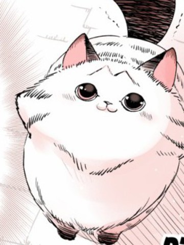 转生成猫_banner