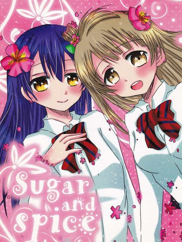 sugar and spice_banner