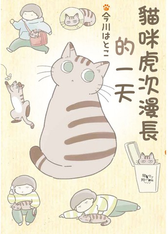 猫咪高能的一天