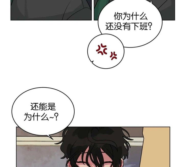 第149话11