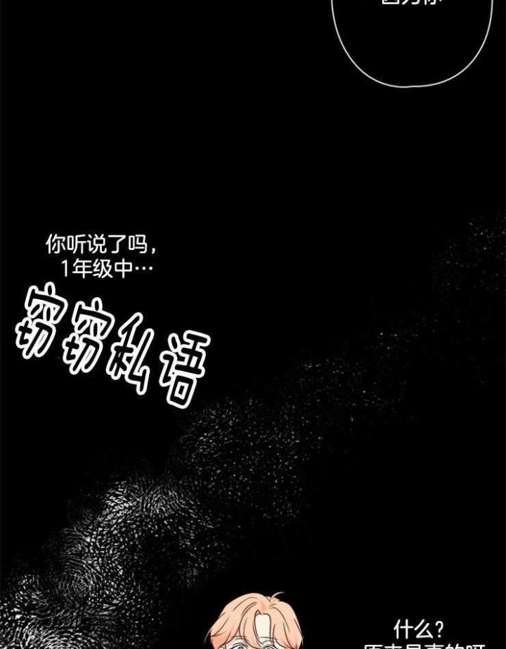 第17话24