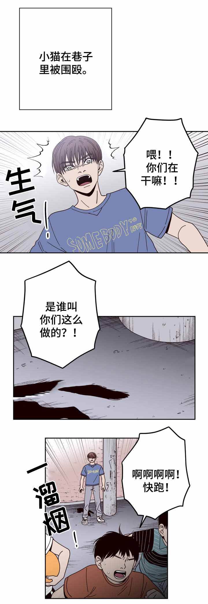 第43话13