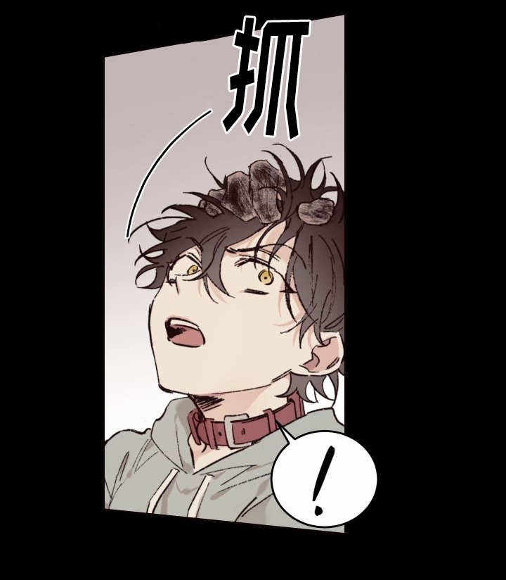 第35话18