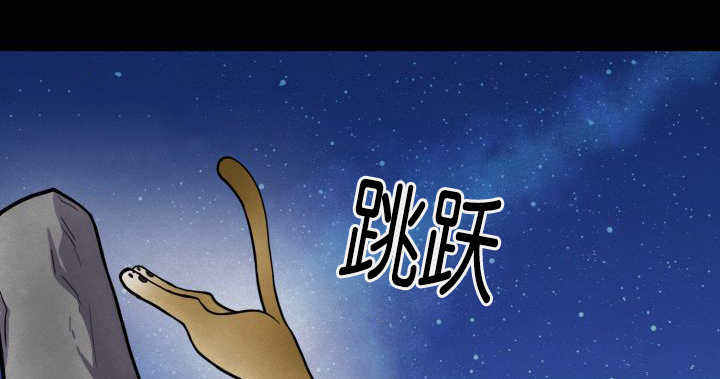 第51话19