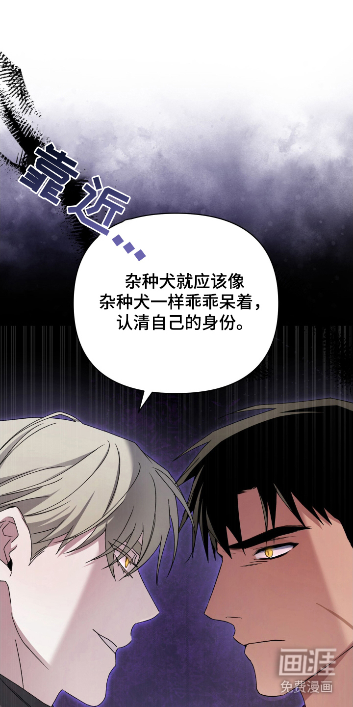 第13话14