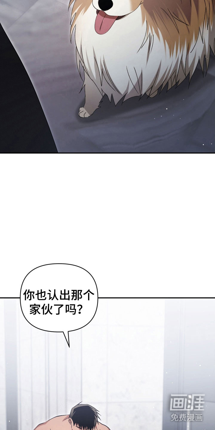 第26话15