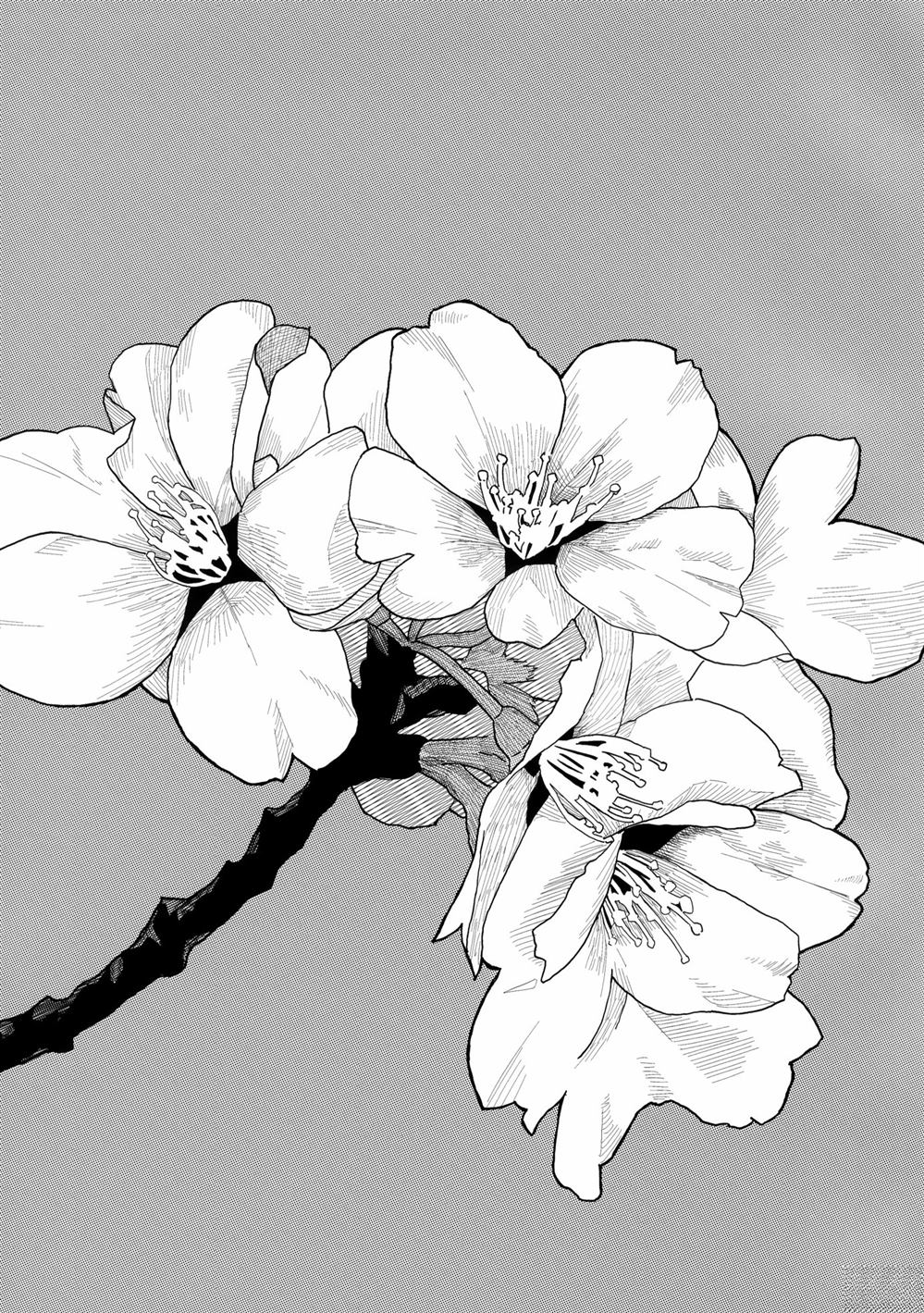短篇65