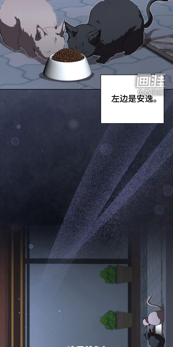 第90话11