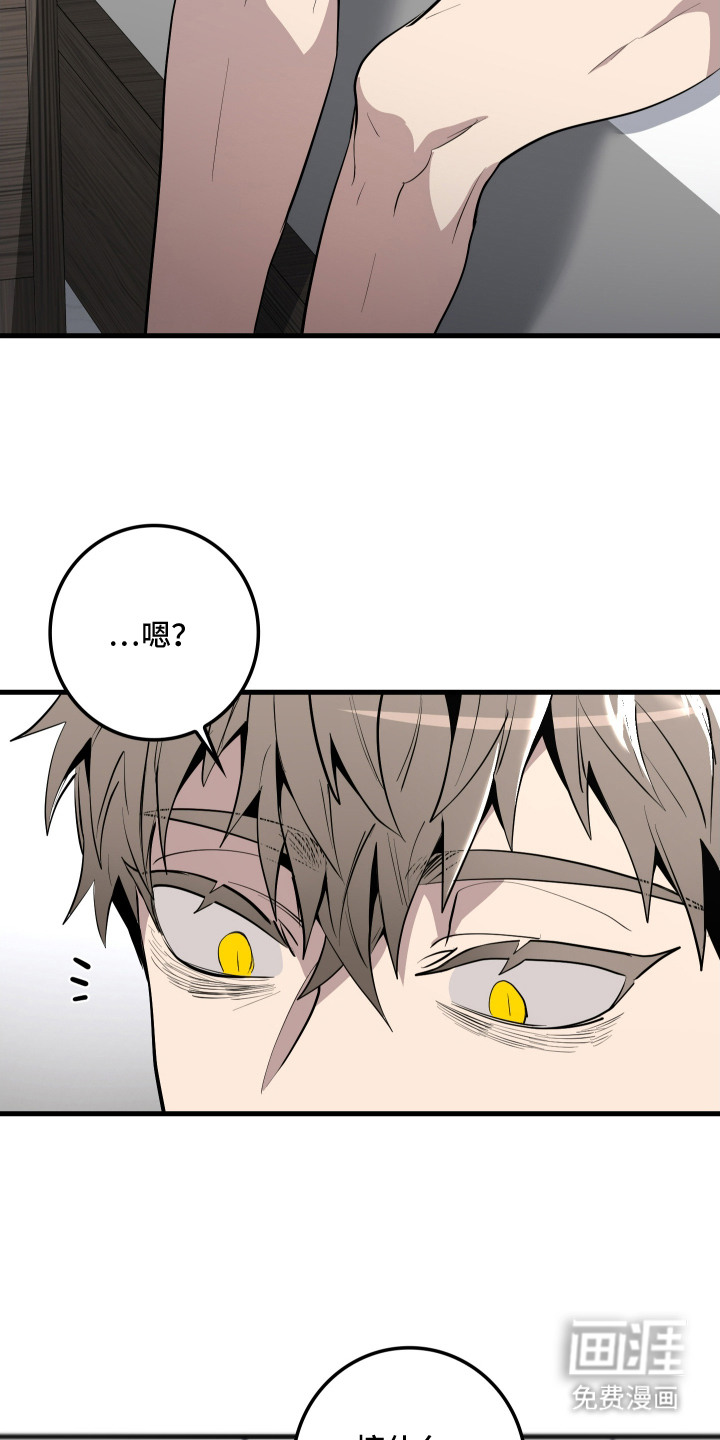 第5话6