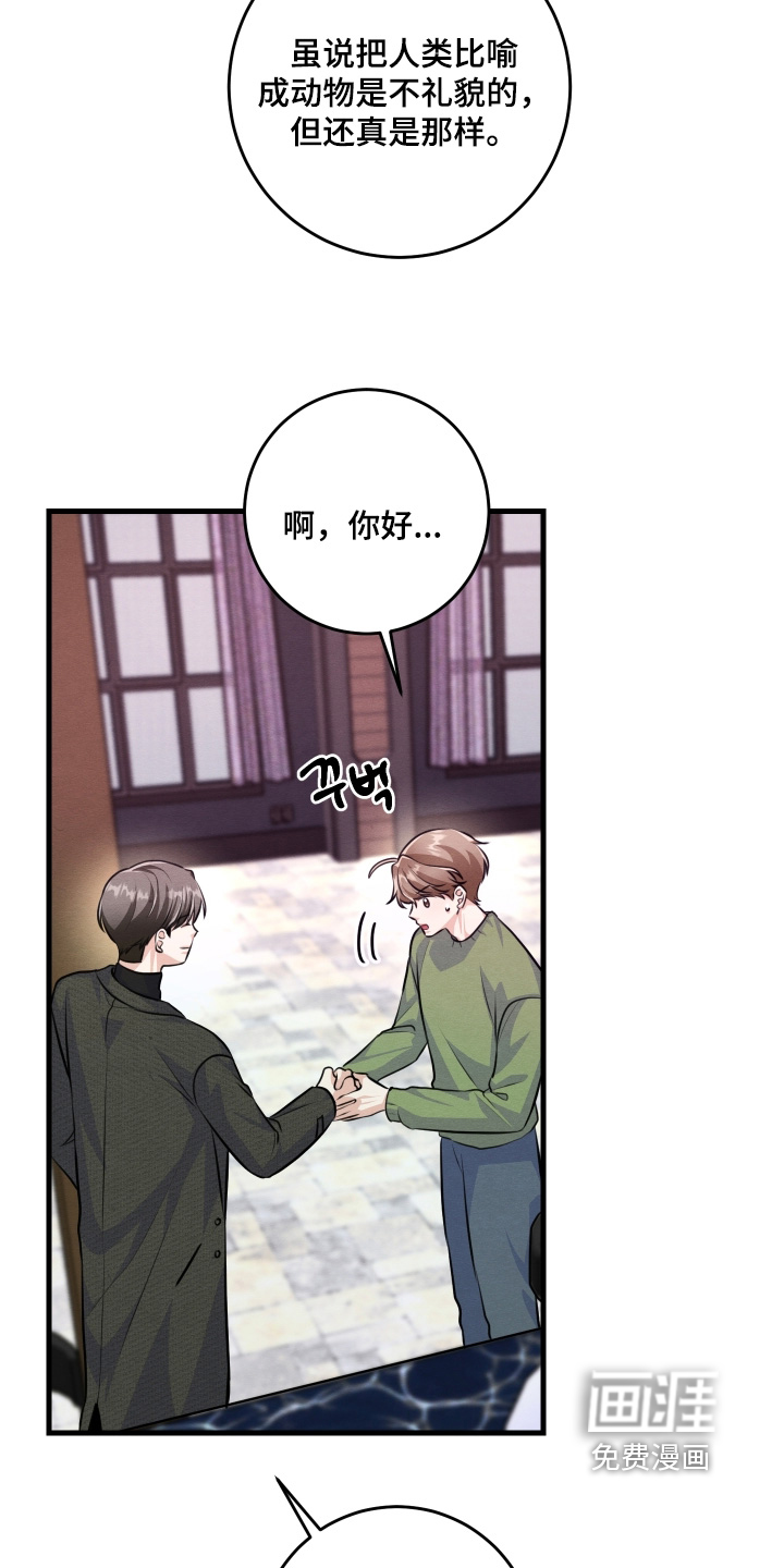 第36话21