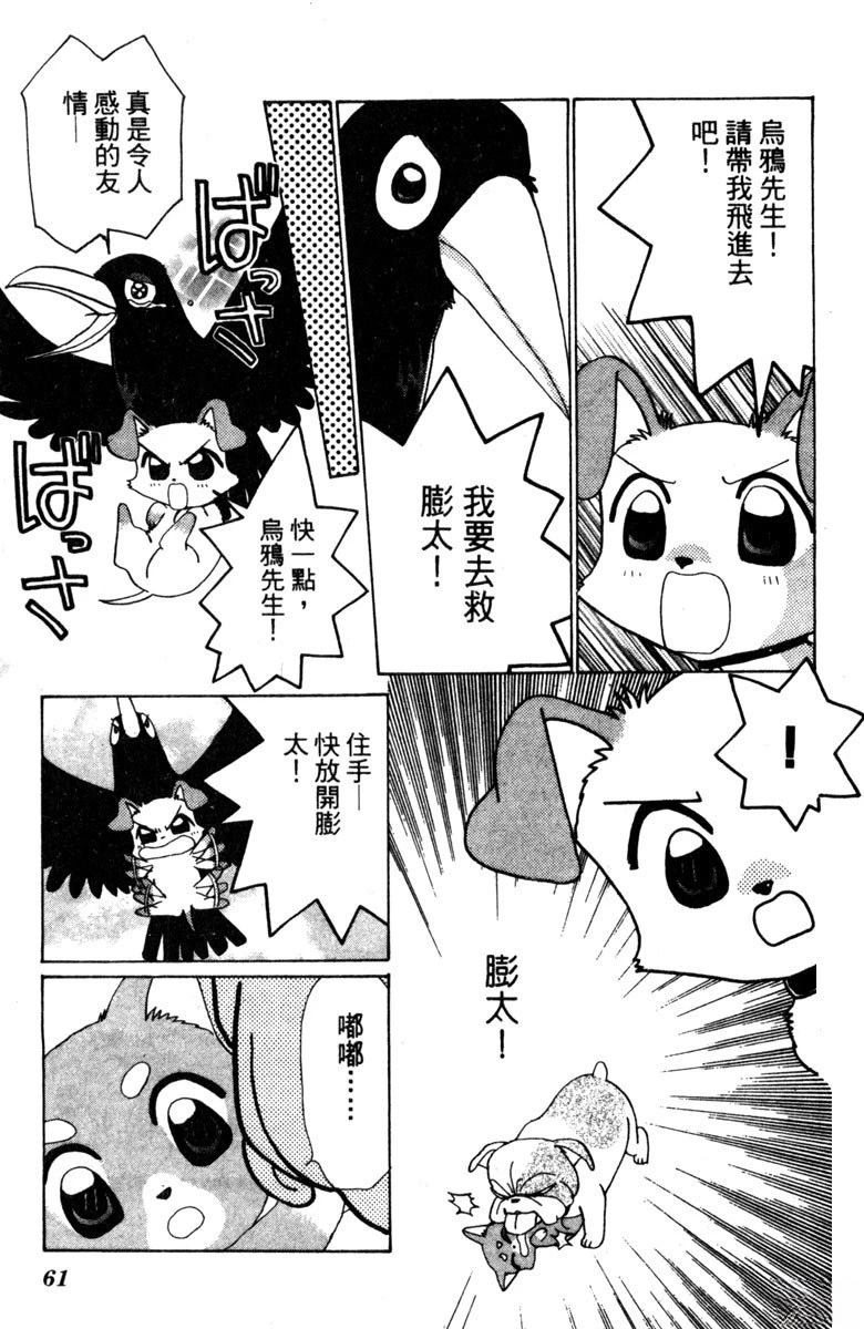 第1卷62