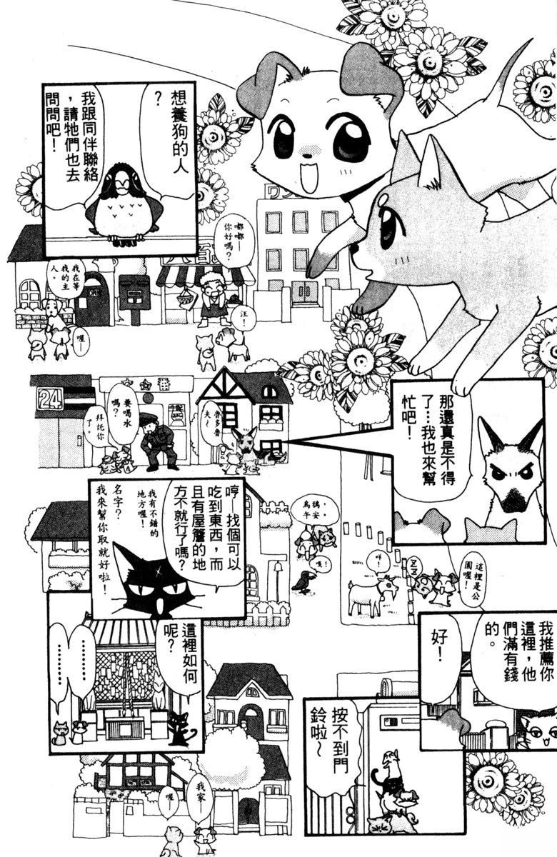 第1卷13
