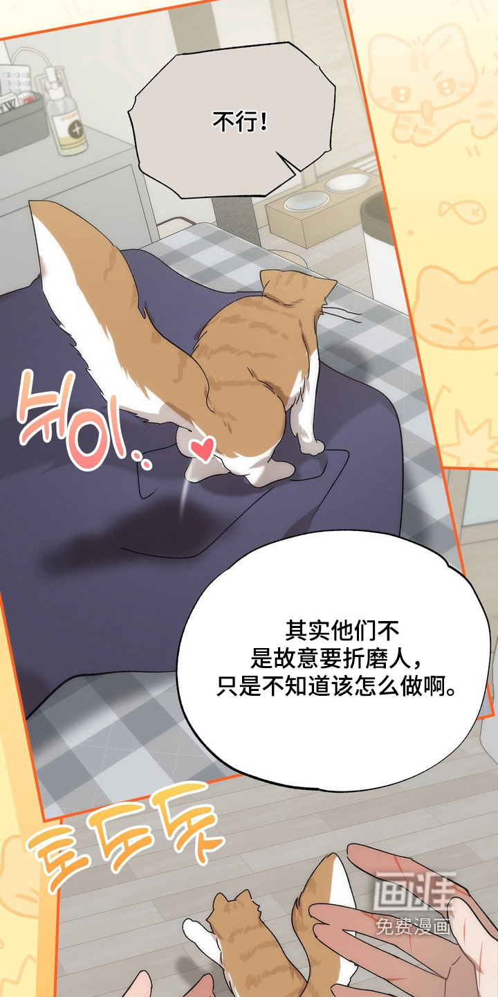第29话25