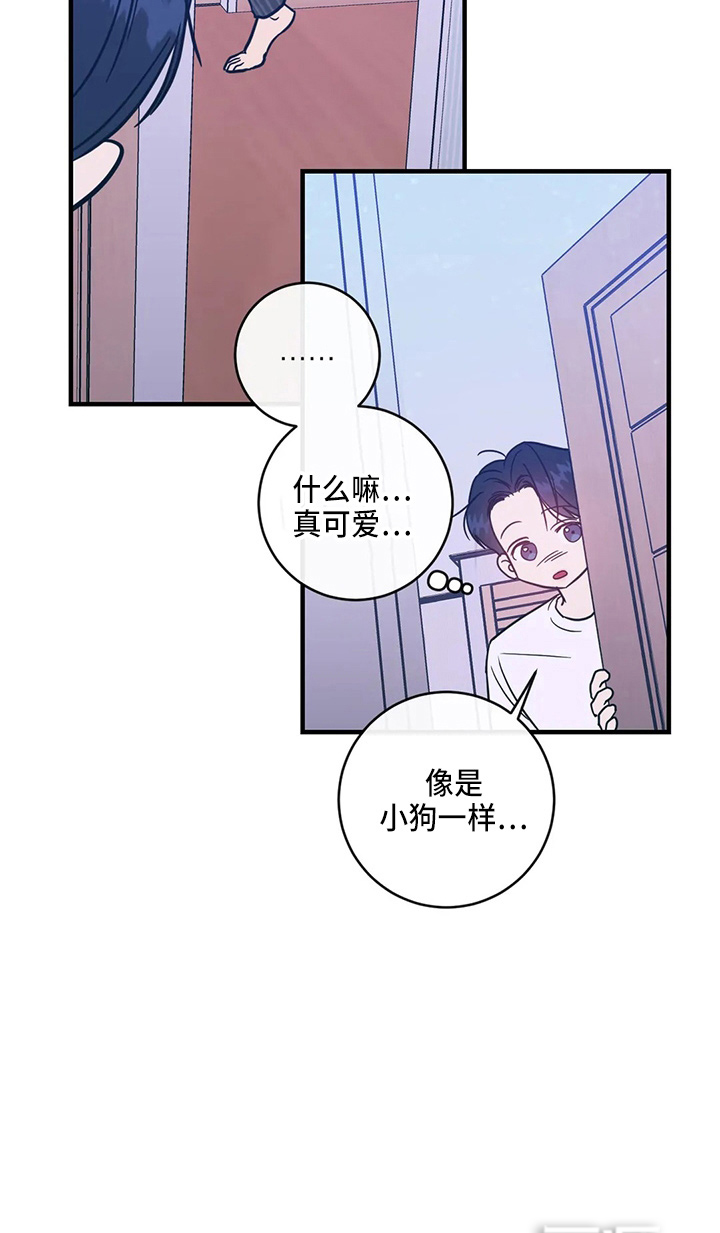 第52话20