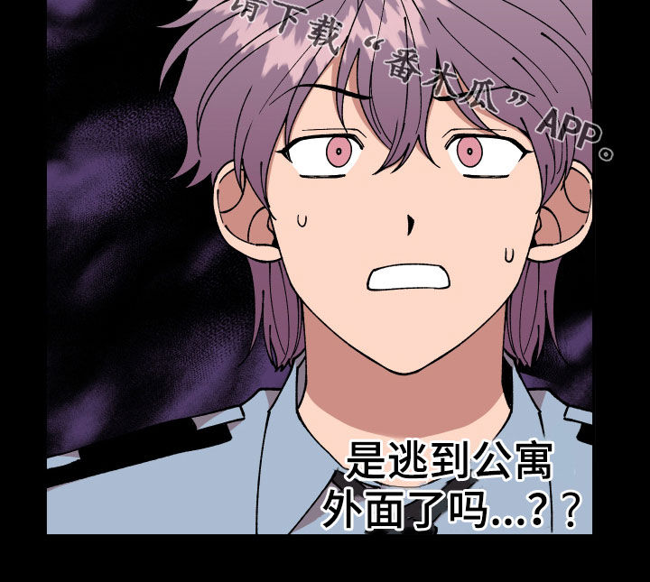 第44话24