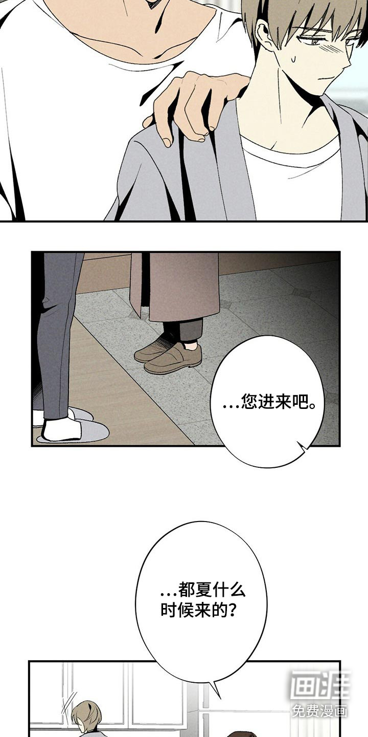 第117话11
