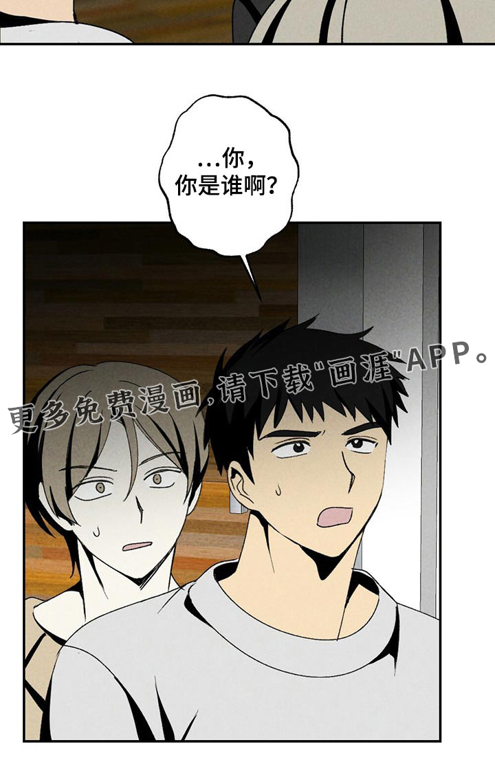第113话13