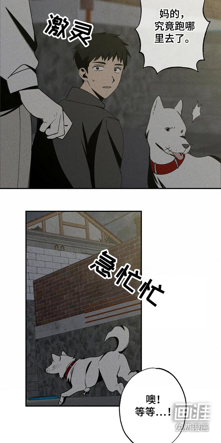 第99话17