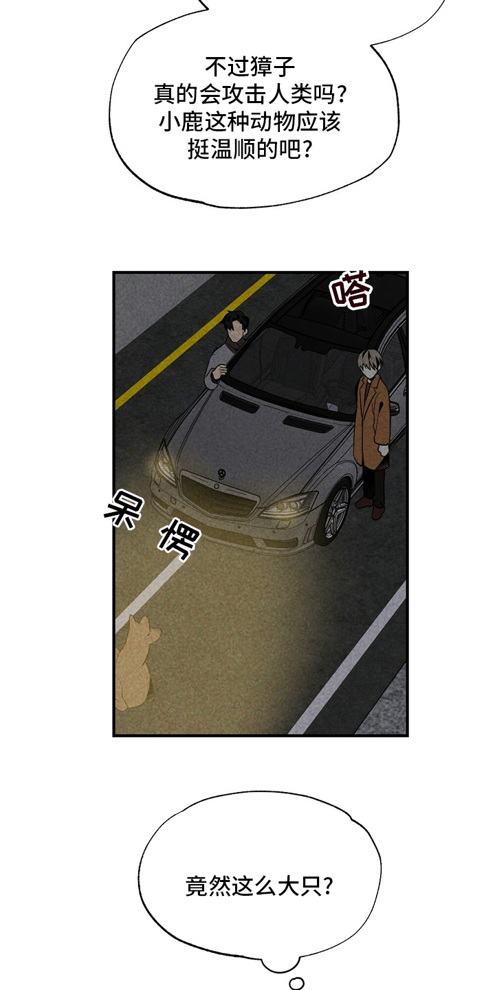 第60话11