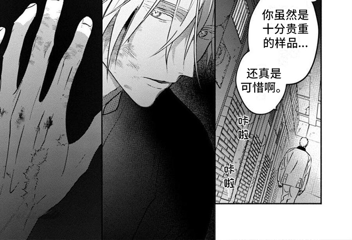 第41话5