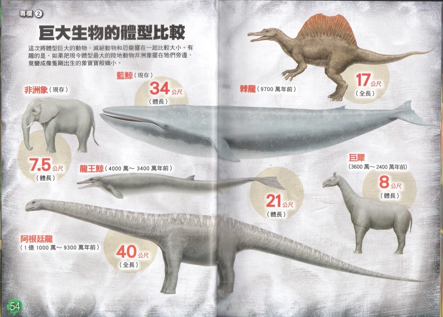 第1卷34