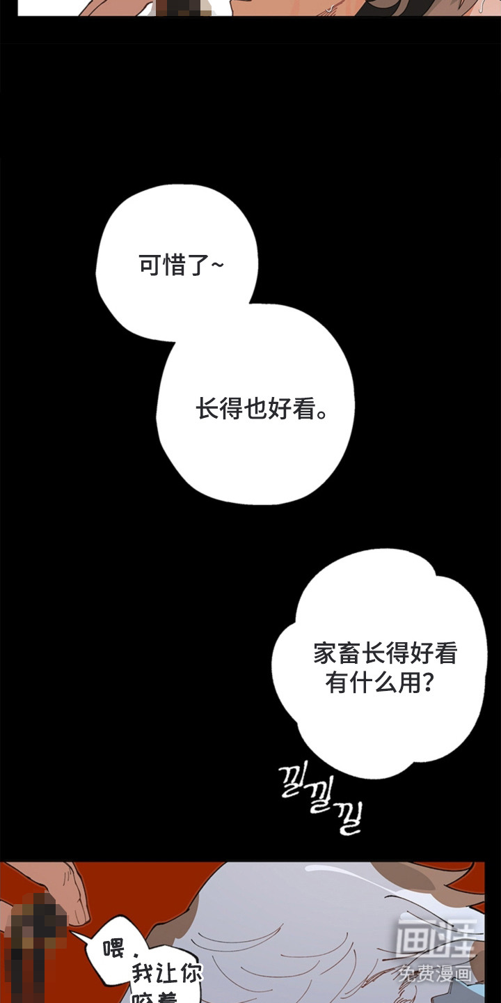 第16话5