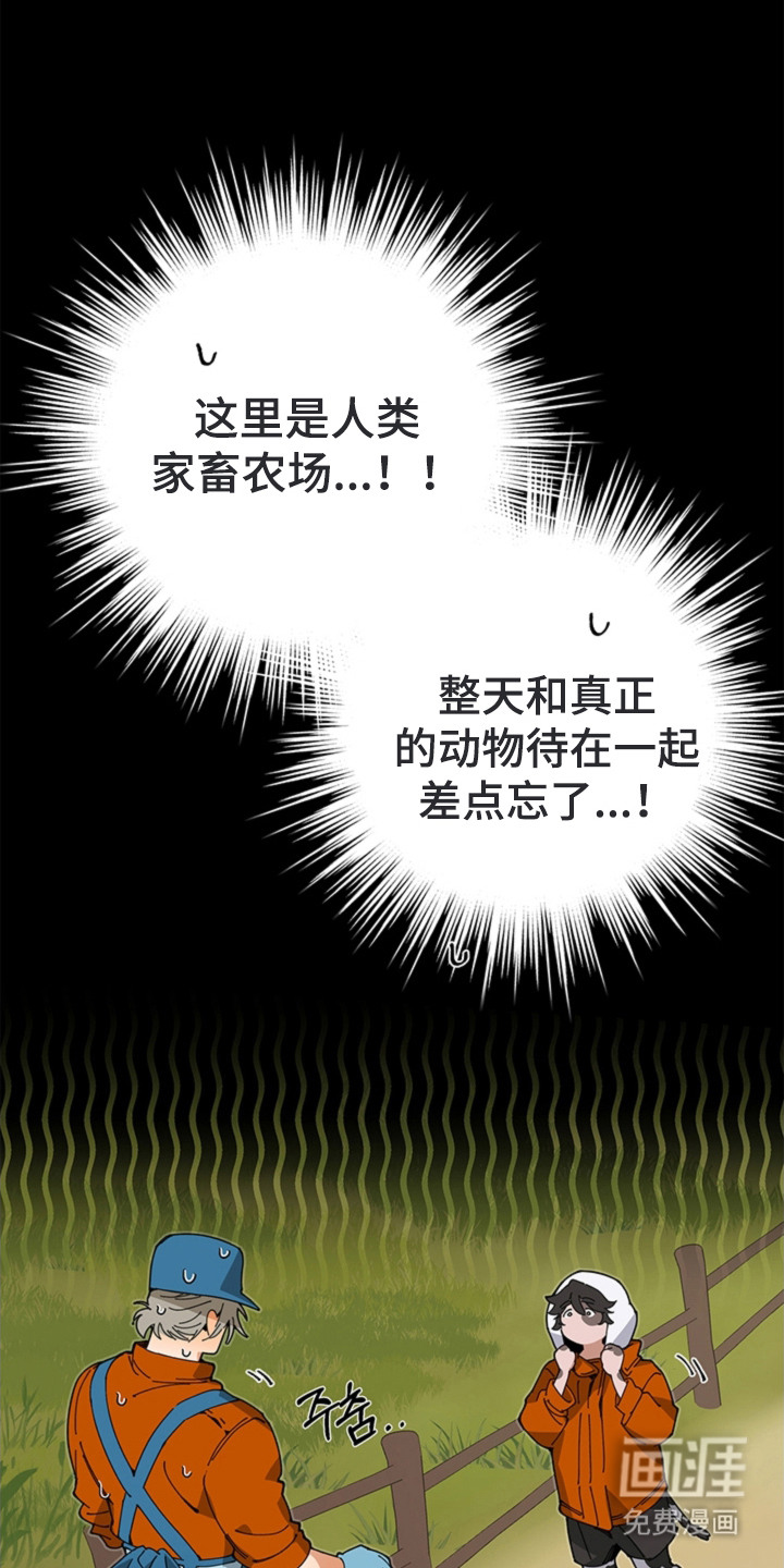 第15话13