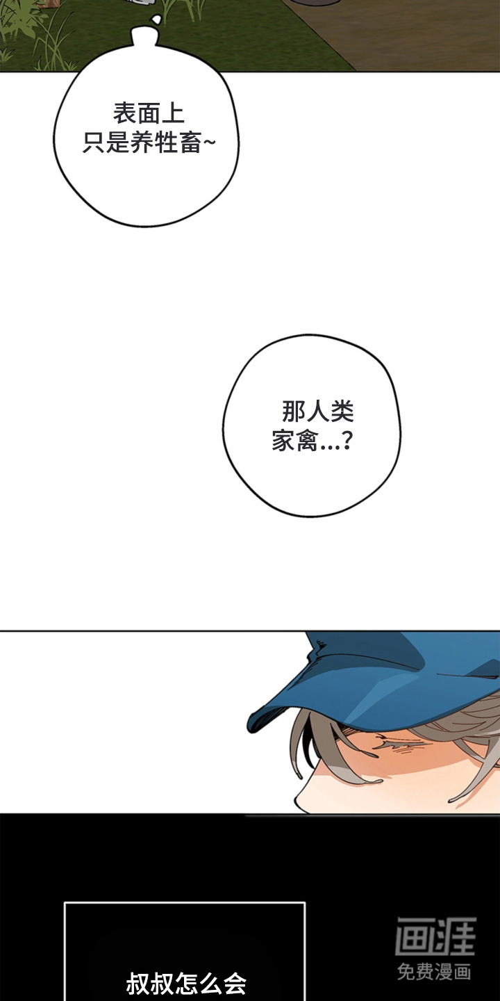 第13话13