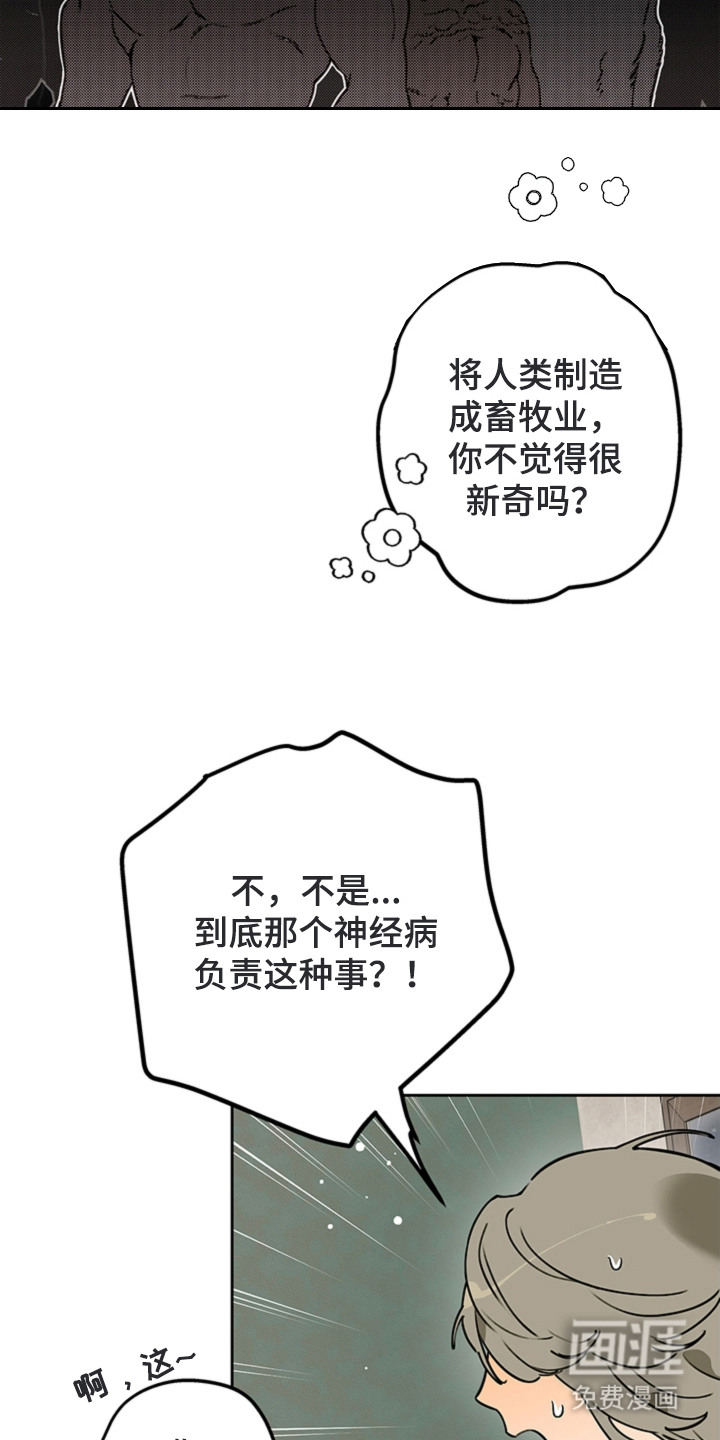 第11话16