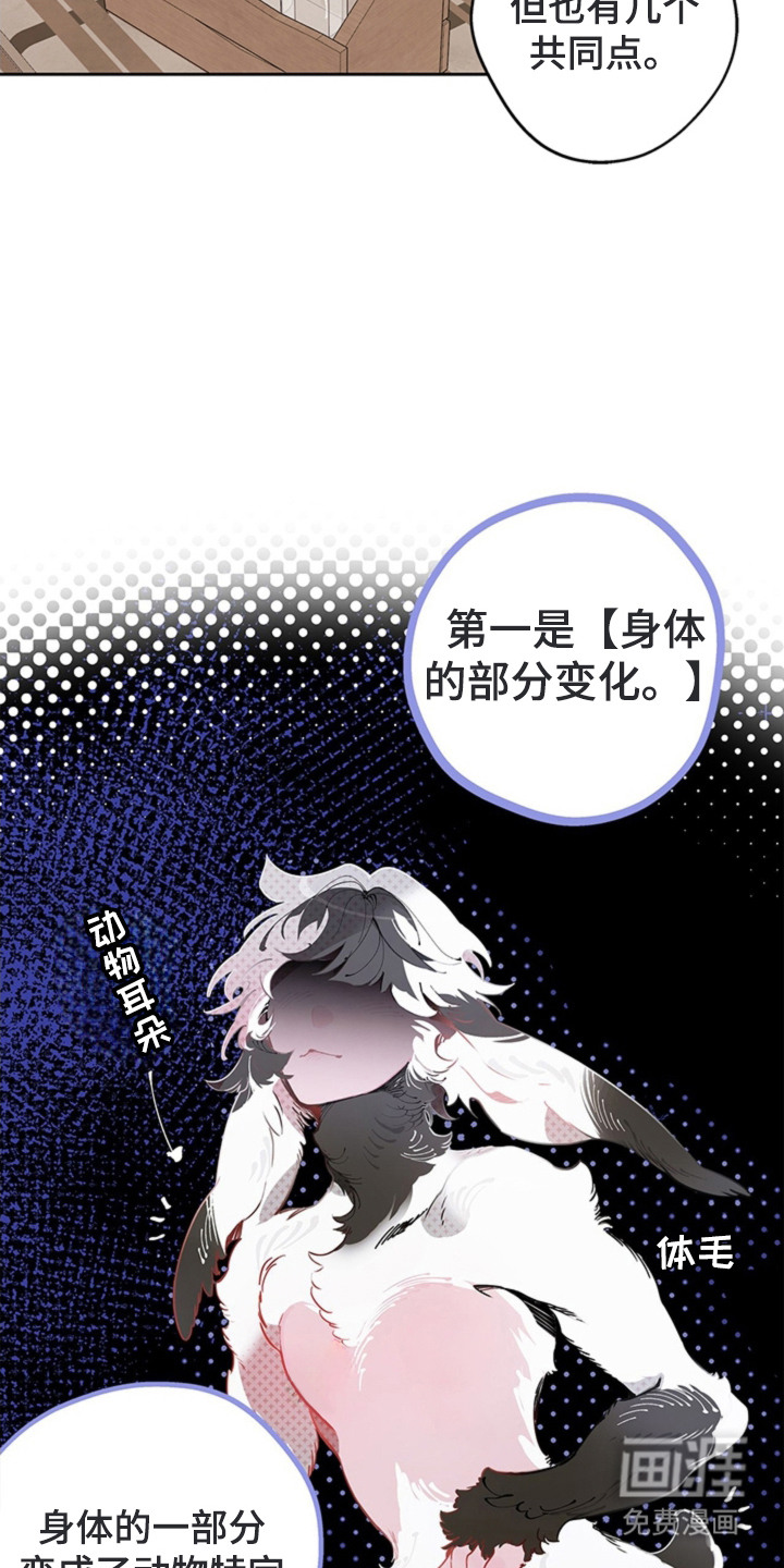 第11话9