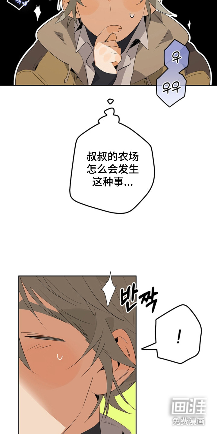 第5话12