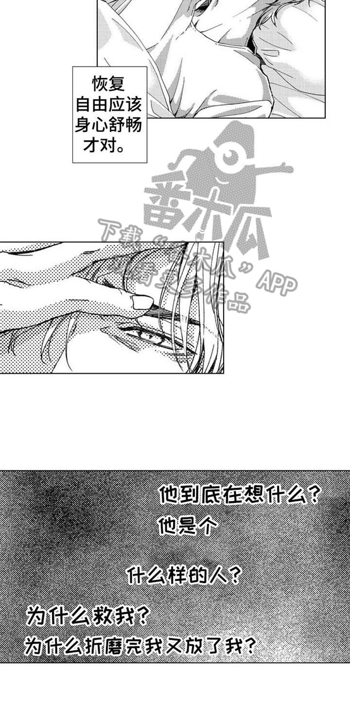 第10话11