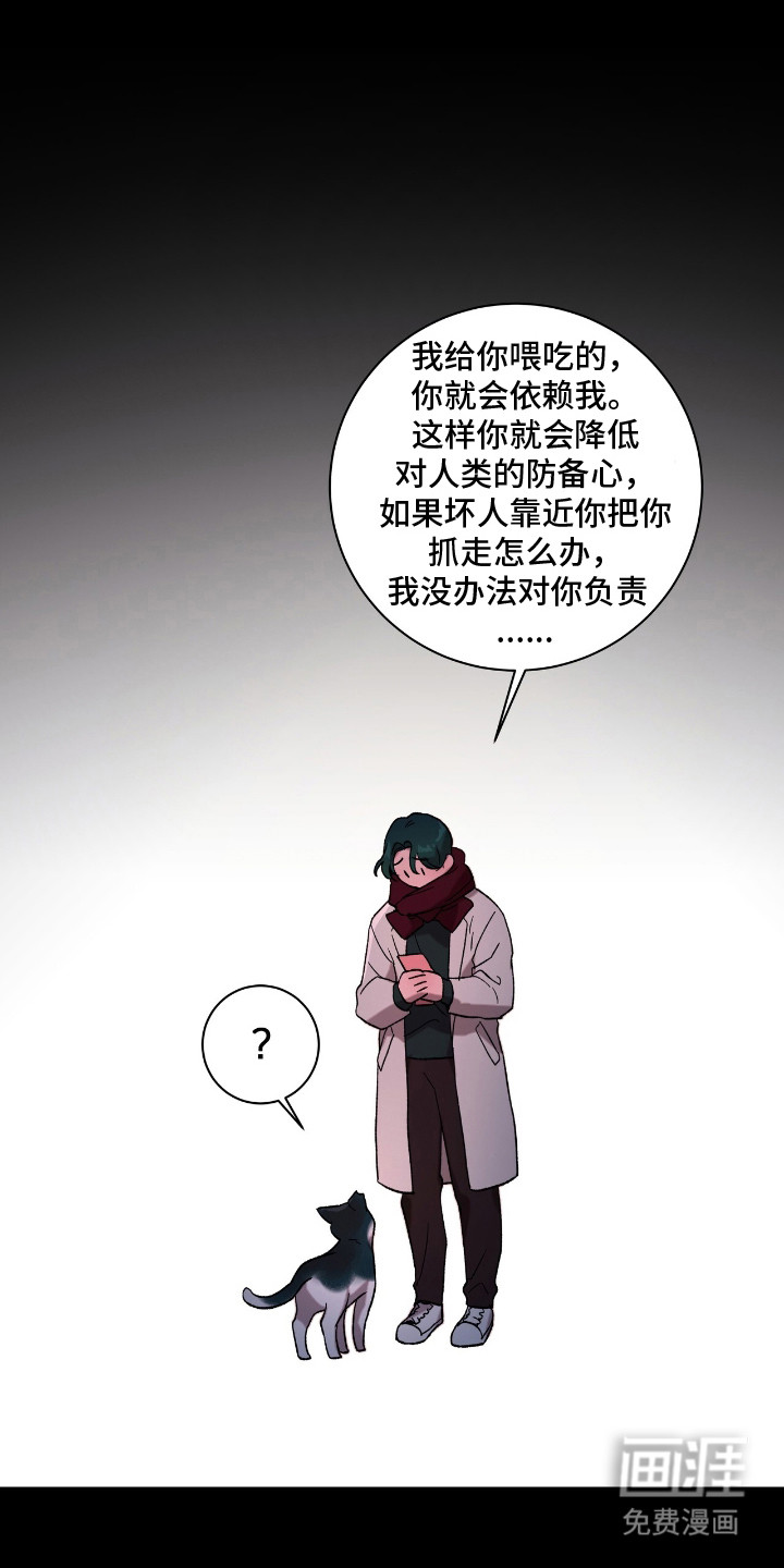 第17话11
