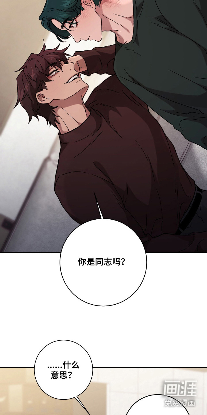 第7话12