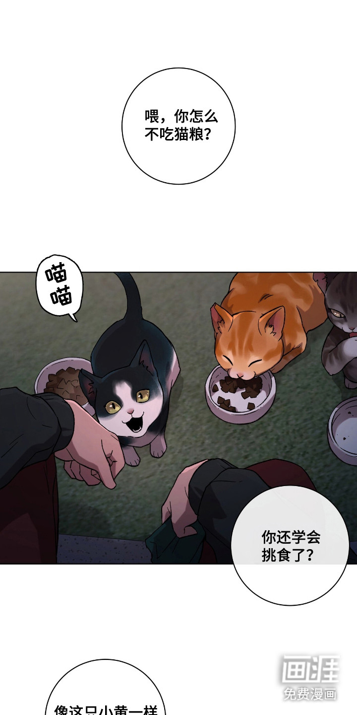 第1话0