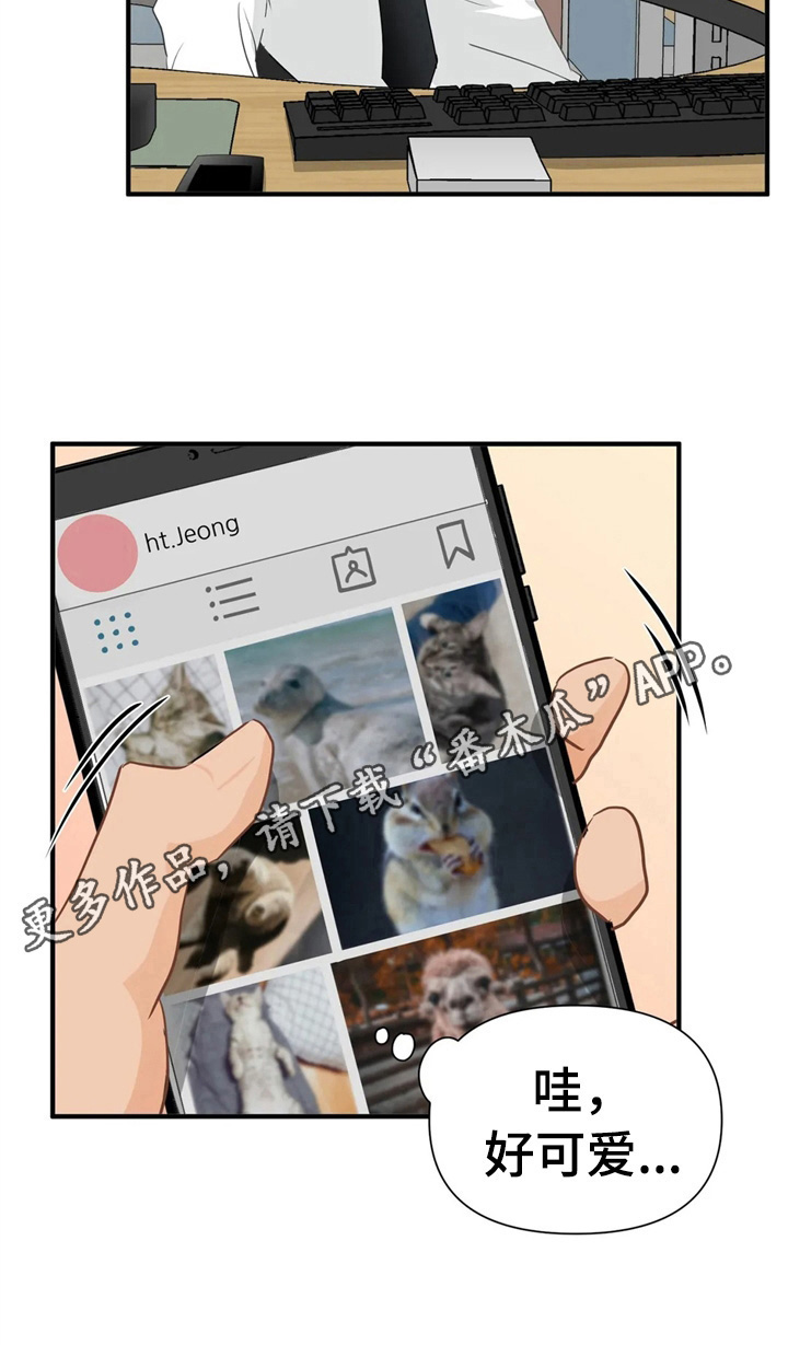 第14话11
