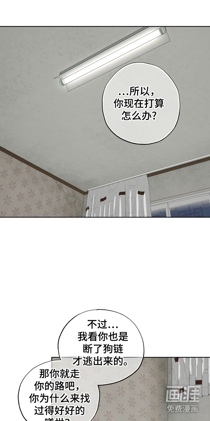 第53话0
