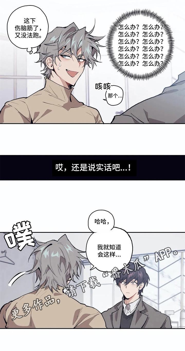 第5话5