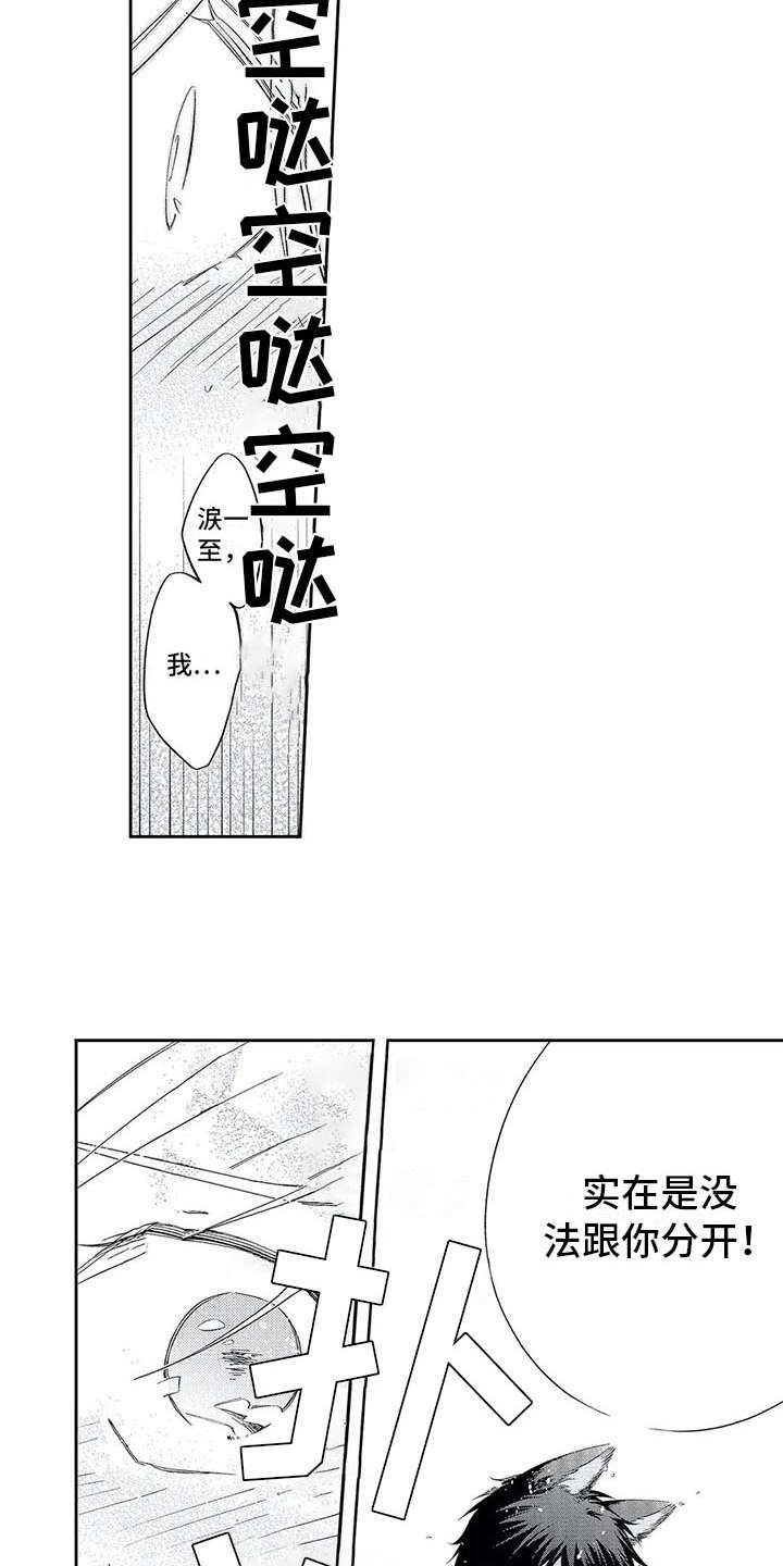 第12话6