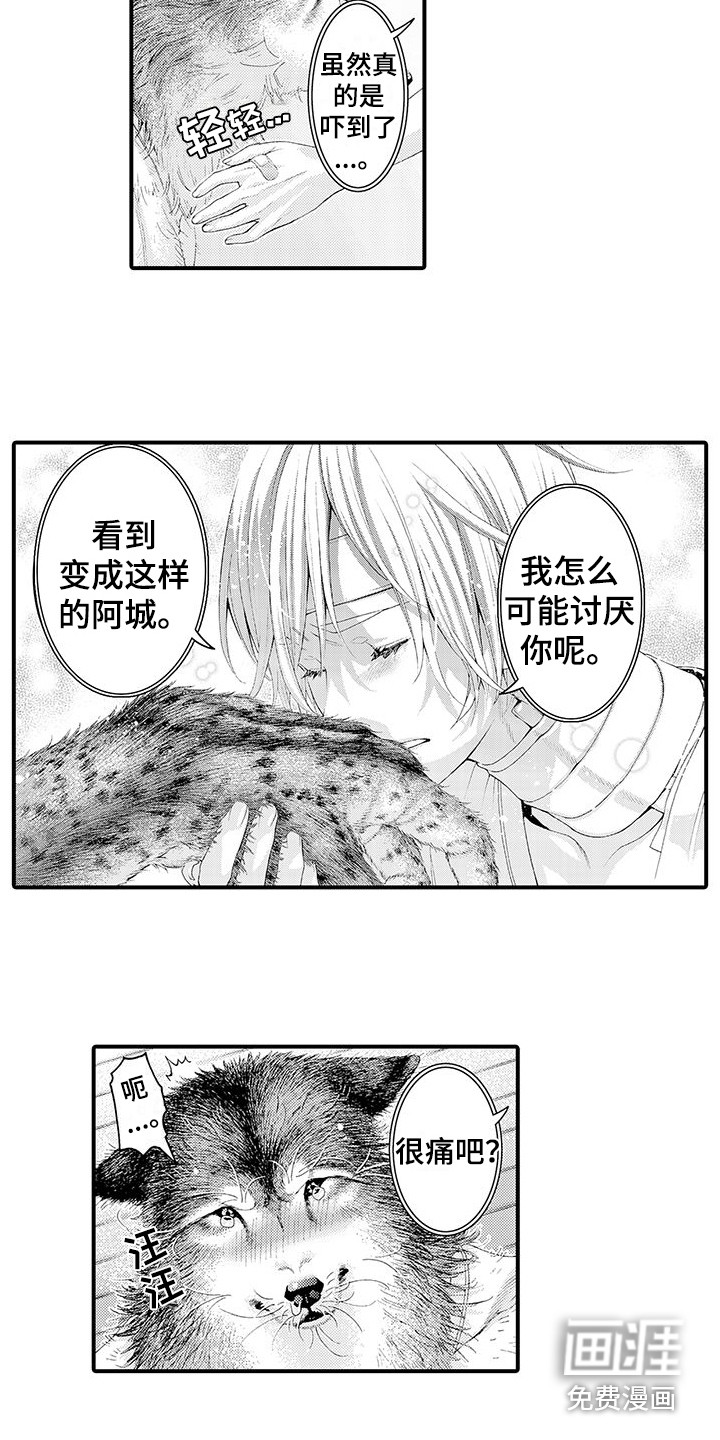 第29话4