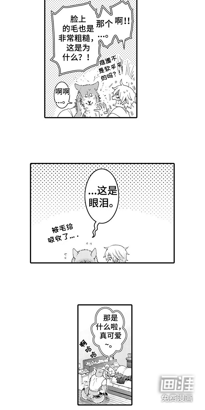 第29话8