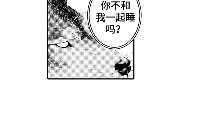 第22话1